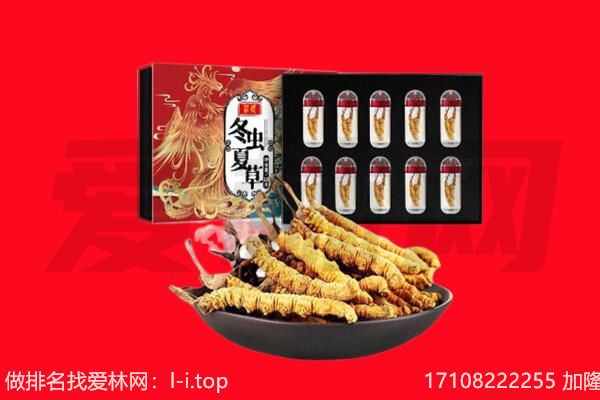 迎江区回收虫草.jpg